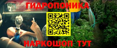 apvp Рузаевка