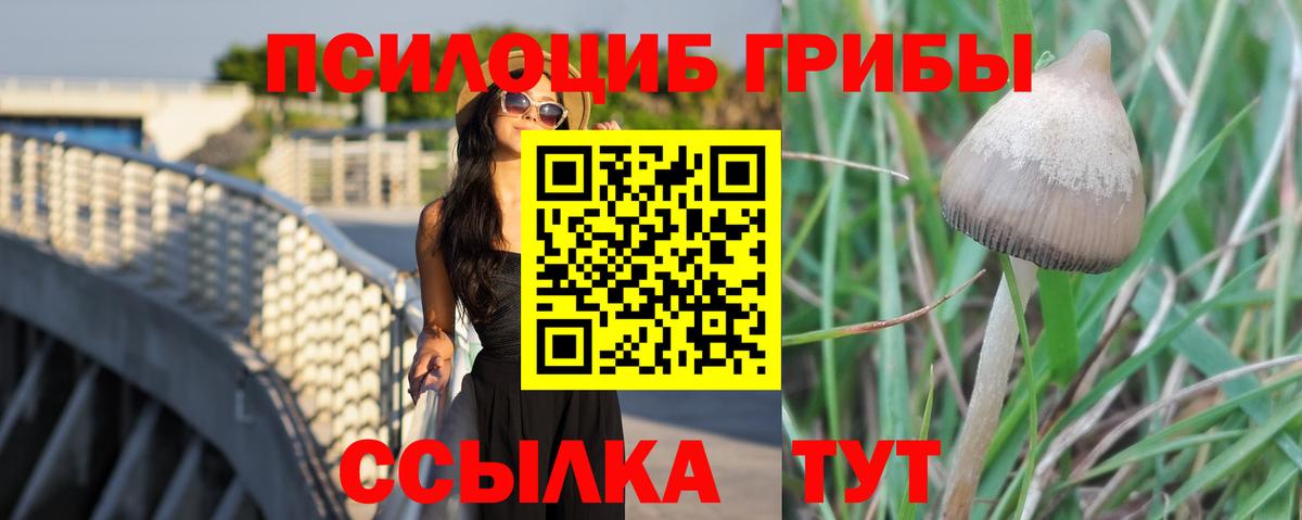 Псилоцибиновые грибы Psilocybine cubensis Наро-Фоминск